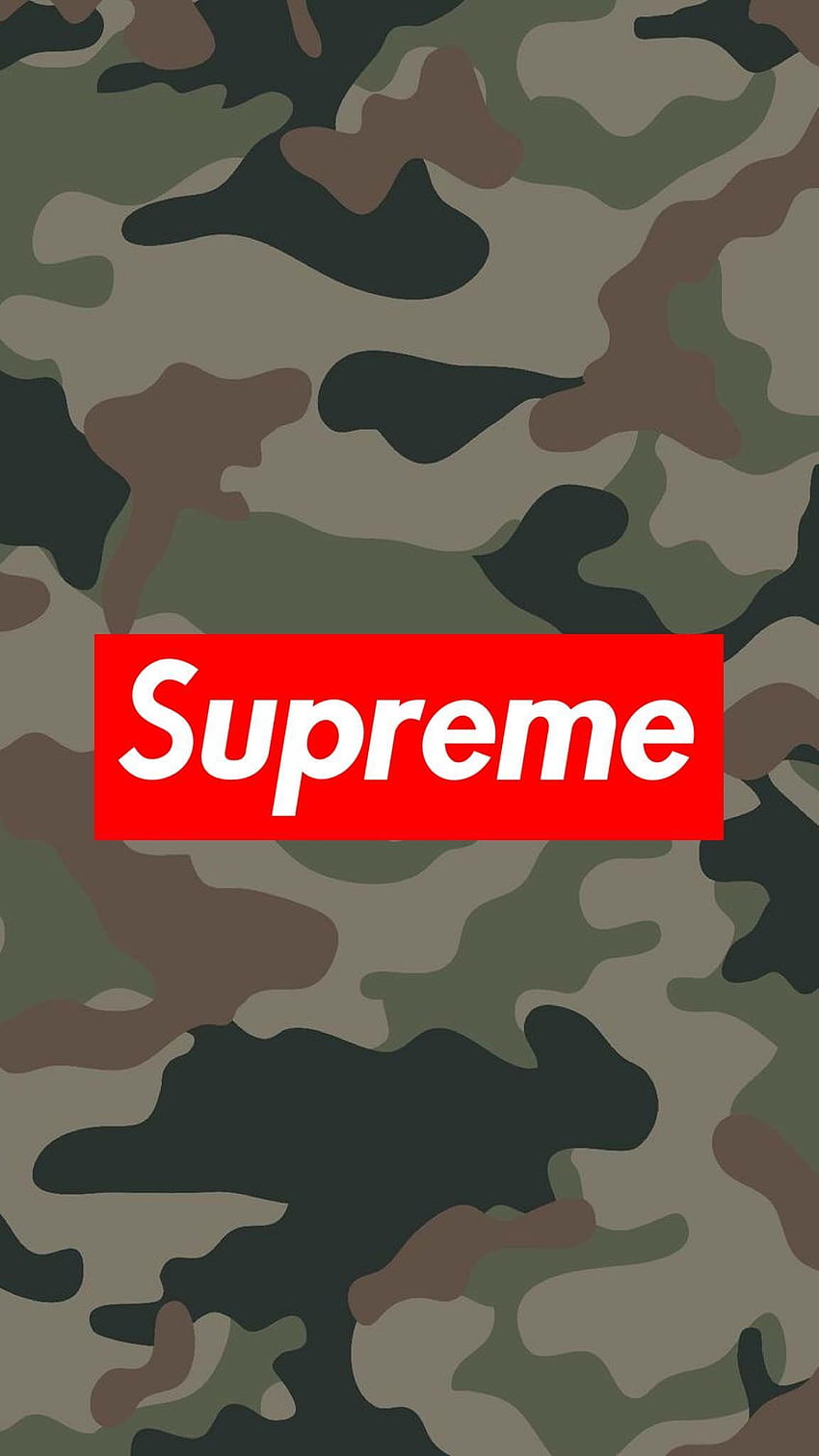 Supreme yeezy on dog HD wallpapers