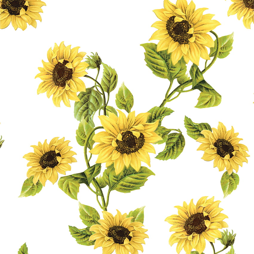 Classic Sunflowers Peel And Stick Abnehmbare, gewöhnliche Sonnenblume HD-Handy-Hintergrundbild