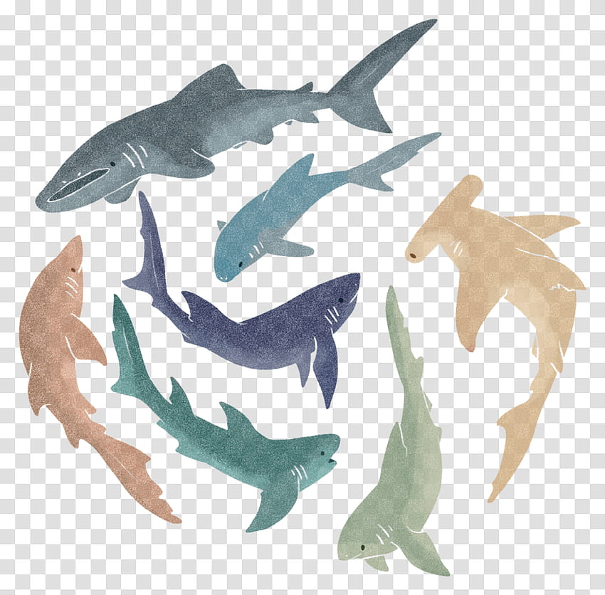 Niedliche Hai-Ästhetik, niedliche Hai-Hintergründe, Meeresleben, Tier, Säugetier, Fisch, transparentes PNG – PNG-Set HD-Hintergrundbild