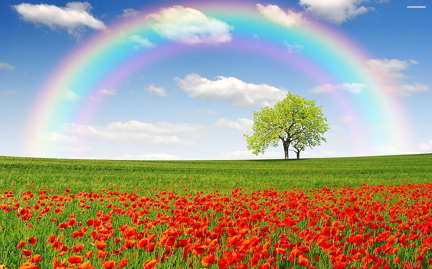 Rainbow for Android, spring nature sky HD wallpaper