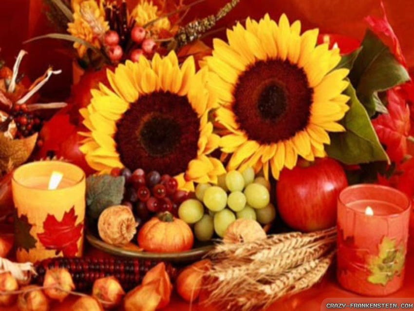 Thanksgiving Day Decorations, thanksgiving flowers HD wallpaper | Pxfuel