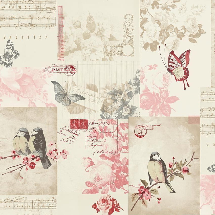 New holden decor songbird bird butterfly rose patterned postcard HD phone wallpaper