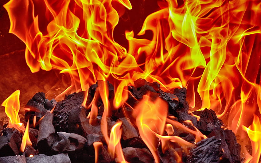 bonfire, fire, firewood, fireplace, wood charcoal, flames, close HD wallpaper