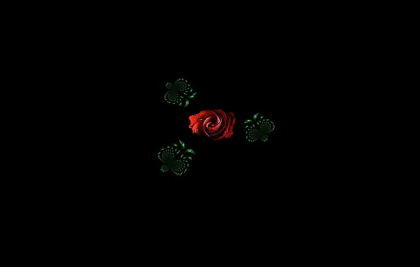 red rose, black background, manipulation, graphics. collage, green butterfly , section минимализм, dark red collage computer HD wallpaper