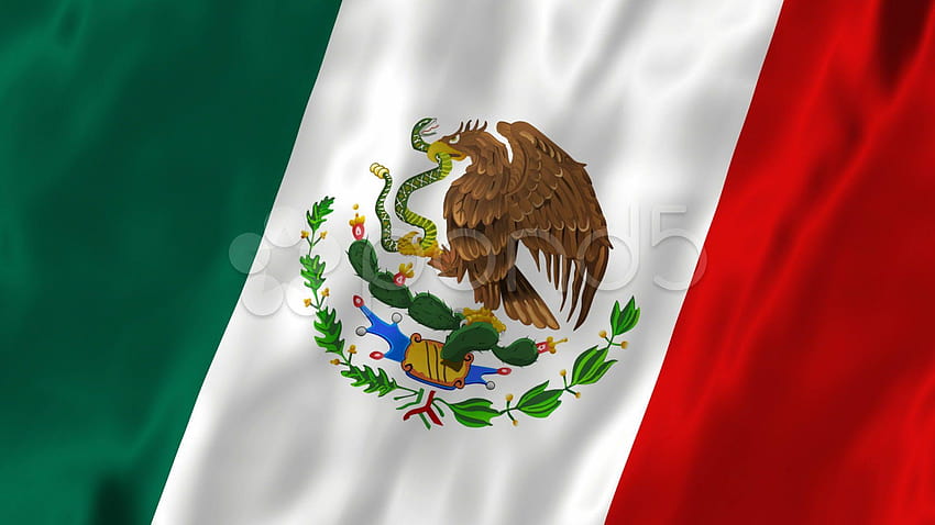 Mexican Flag , Live Mexican Flag, mexico flag HD wallpaper