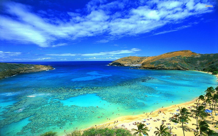 6 Hawaii Beach, hawajska sceneria plaży Tapeta HD