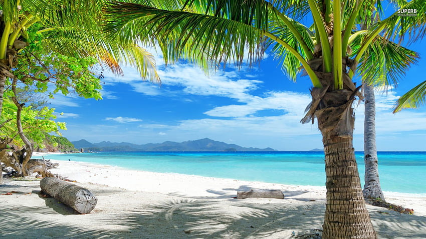 paisaje de playa tropical fondo de pantalla