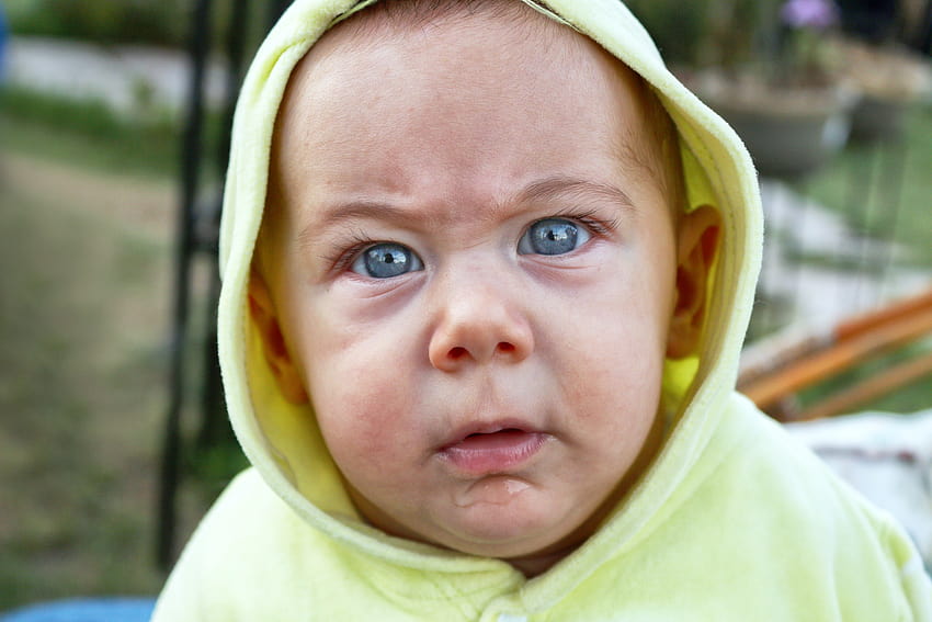 : лице, хора, сини очи, зелено, бебе, емоция, човек, кожа, глава, ядосан, смях, дете, цвете, усмивка, око, портретна графика, изражение на лицето, наблизо, малко дете, бебе 2500x1667, ядосано бебе HD тапет