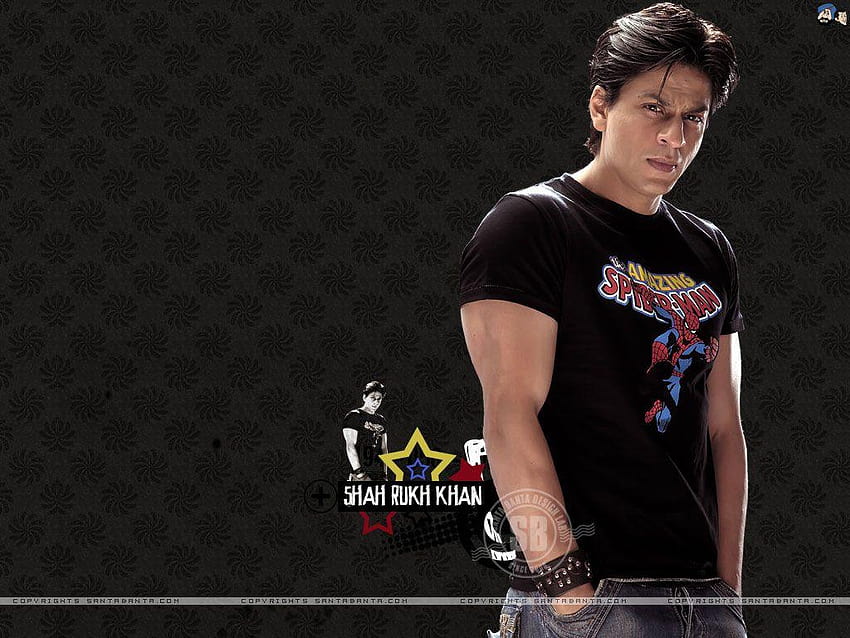 Hot of Bollywood Stars & Actors, kan mk HD wallpaper
