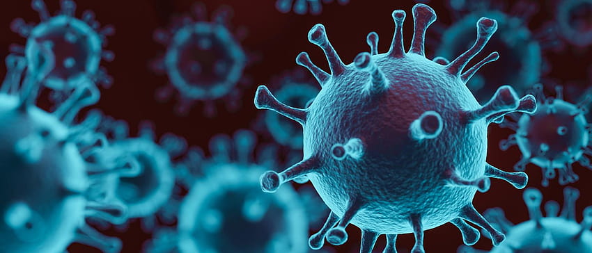 Lebensmittelsicherheit und die Coronavirus-Krankheit 2019, Corona-Virus-Sicherheitsregel HD-Hintergrundbild