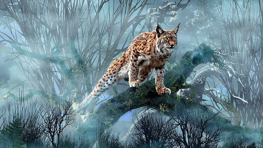 Lynx Wallpaper HD