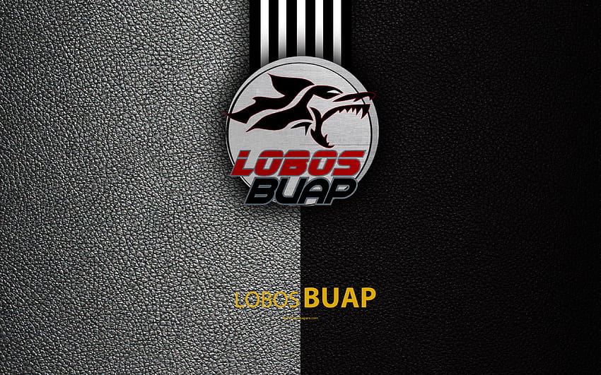 Lobos BUAP, leather texture, logo, Mexican HD wallpaper | Pxfuel