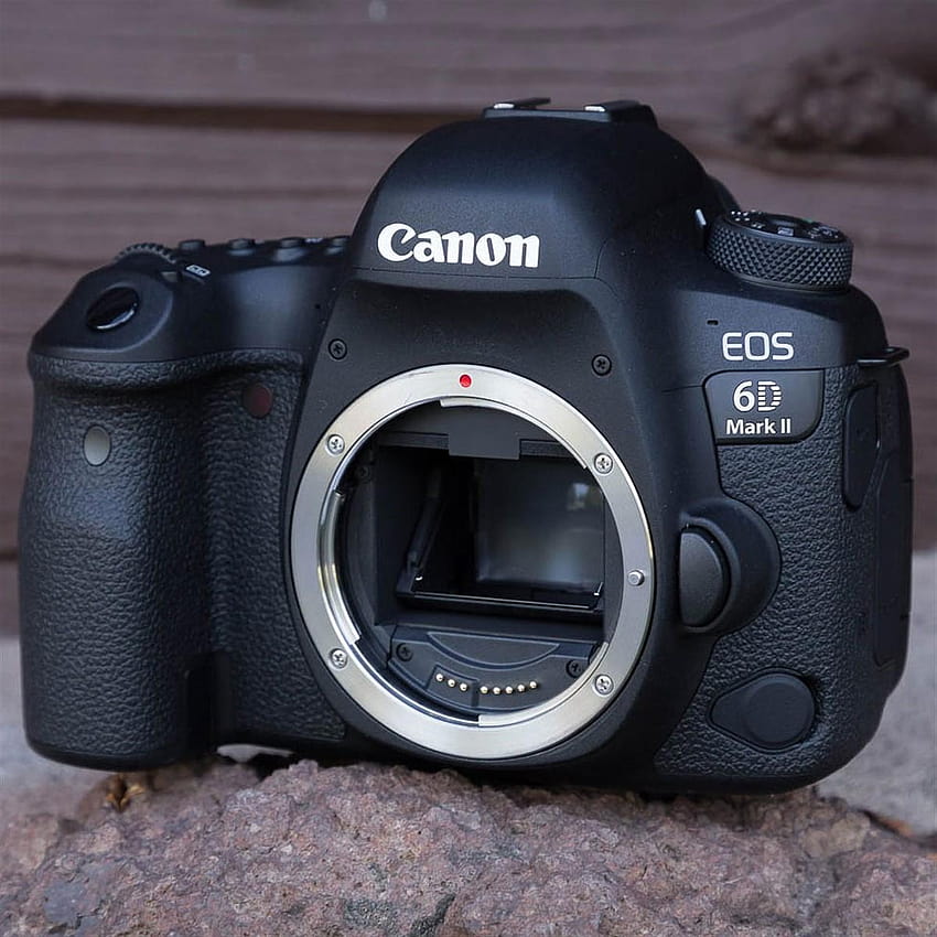 Sama tetapi berbeda: Pengalaman pemotretan Canon EOS 6D Mark II wallpaper ponsel HD