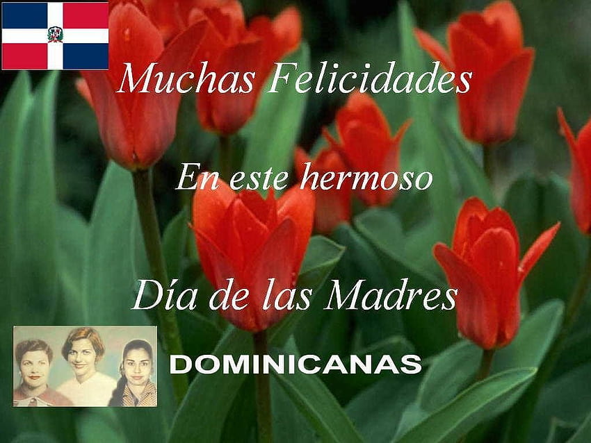 Happy day of us Dominican mothers HD wallpaper Pxfuel