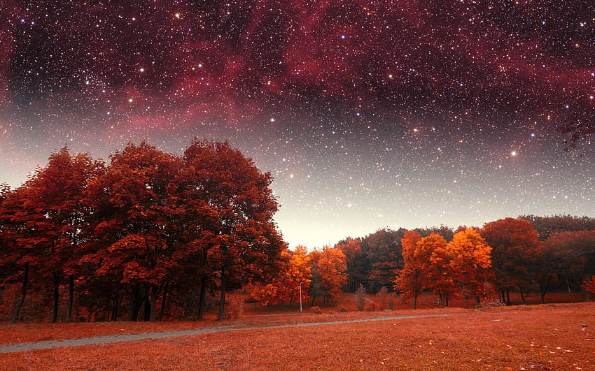 : есен, нощ, звезди, атмосфера, есен, звезда, астрономически обект 1920x1200 HD тапет