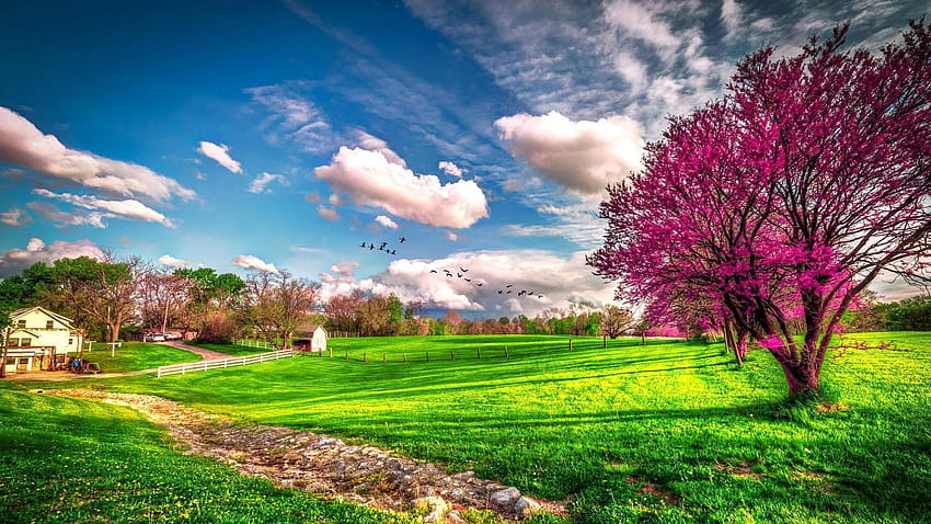 Najpiękniejsza wiosna, kraj sprężyn Tapeta HD