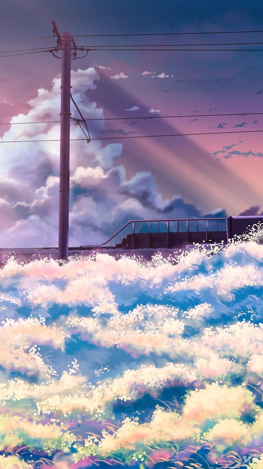 Beautiful anime, beautiful sky anime HD phone wallpaper | Pxfuel