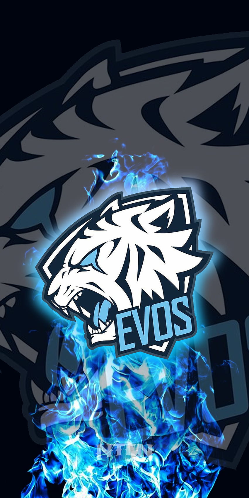 Logo Gamers Evos Smartphone, Handy, evos esport HD-Handy-Hintergrundbild