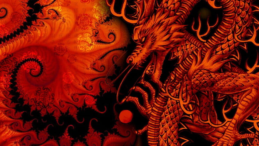 6 Red Dragon and Wolf, dragon orange HD wallpaper