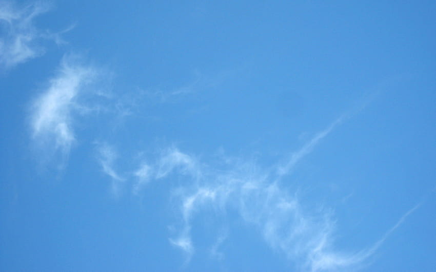 Blue Sky on Dog, pure blue HD wallpaper