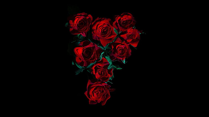 Red Roses , Flower bouquet, Black background, , Flowers, amoled black flowers HD wallpaper