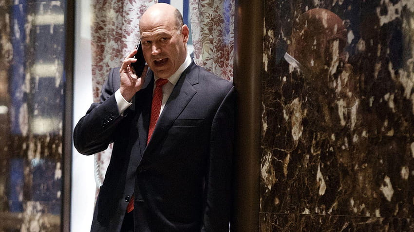 Goldman Sachs'ın Gary Cohn'u nasıl Donald Trump'ın HD duvar kağıdı
