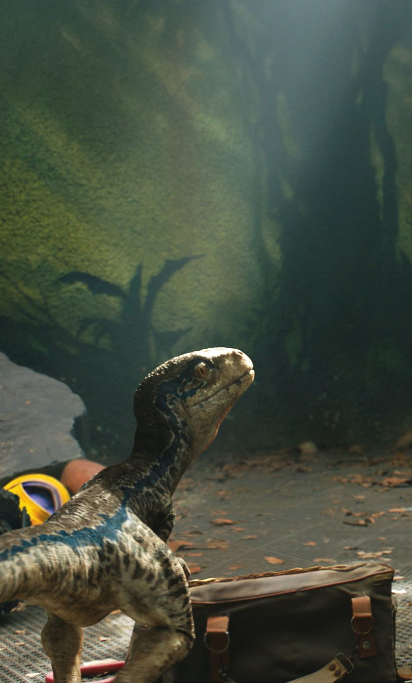 1280x2120 Chris Pratt And Little Raptor Jurassic World iPhone 6 plus , Movies , and Backgrounds, raptor blue HD phone wallpaper