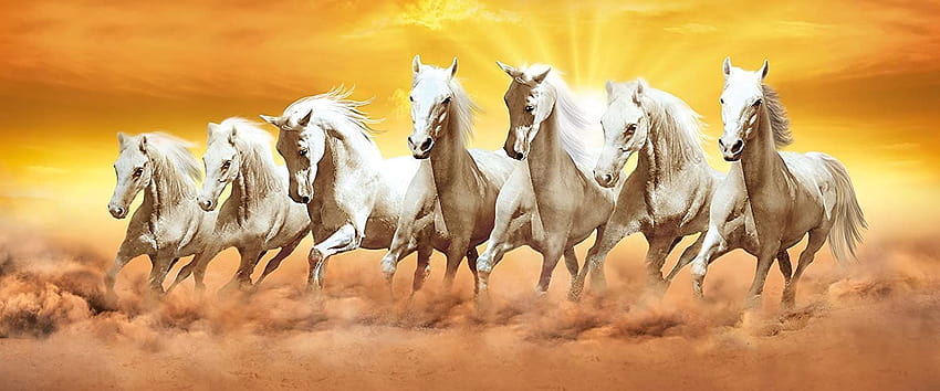 7 Pferde laufen, laufen sieben Pferde HD-Hintergrundbild