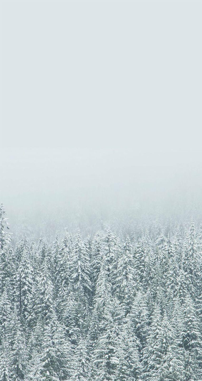 Cute Winter Wallpapers iPhone  PixelsTalkNet