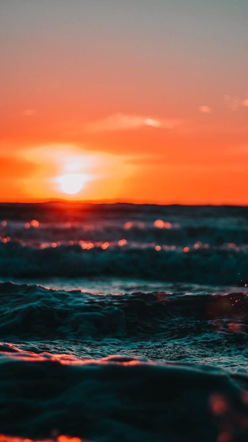 70000 Best Sunset Pictures  100 Free Download  Pexels Stock Photos