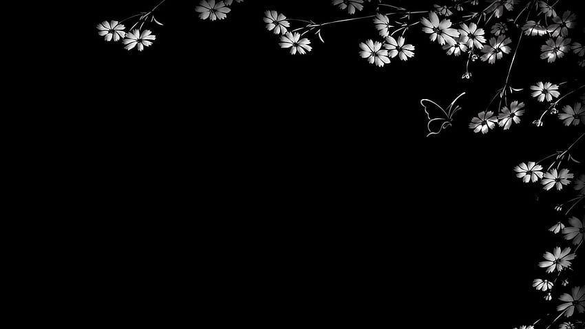 1600x900 butterfly, flower, black backgrounds 16:9 backgrounds, black  aesthetic flowers HD wallpaper | Pxfuel