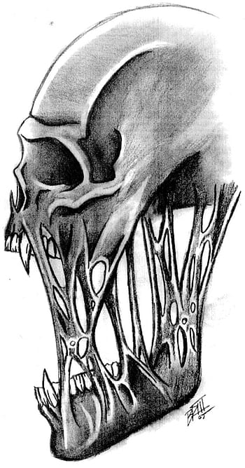 Profile of a Skull Drawing by Melisa Torres | Saatchi Art