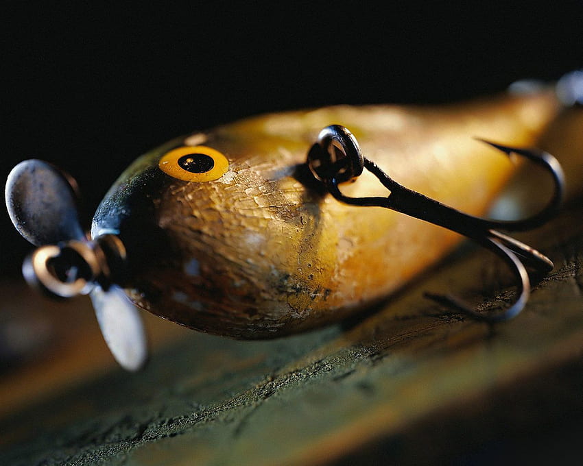 fishing lures HD wallpaper