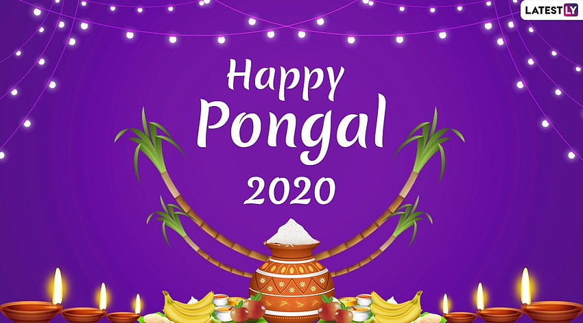 Честит Thai Pongal 2020 и за онлайн: Пожелайте на Pongal с WhatsApp съобщения, GIF поздрави и SMS на Tamil Harvest Festival HD тапет