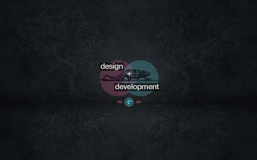 Web Developer lance web designer and HD wallpaper