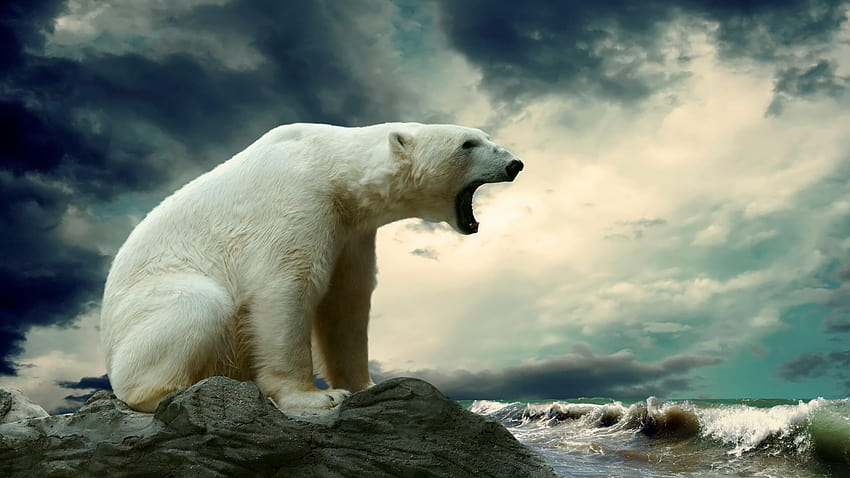 2560x1440 Polar Bear, Roar, Waves, Dark Sky, Sea HD wallpaper