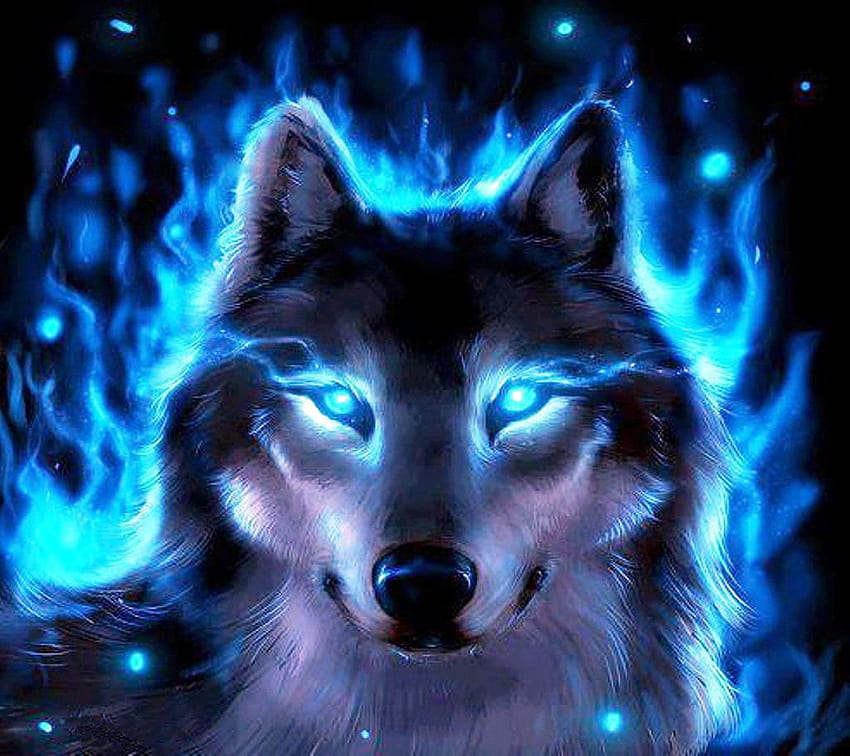 Cool Neon Wolves on Dog HD wallpaper | Pxfuel