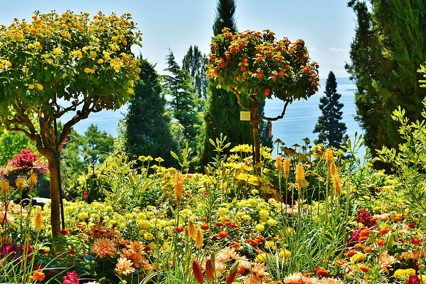 3083875 / flowers, island, lake, lake constance, mainau, panorama, park, places of interest, plant, planted, stairs, summer, tourism, view, water, water feature, mainau island HD wallpaper
