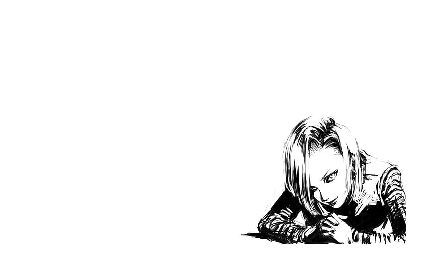 book cover, Dragon Ball Z, Androids, Android 18, Android 17, androide 18 HD wallpaper