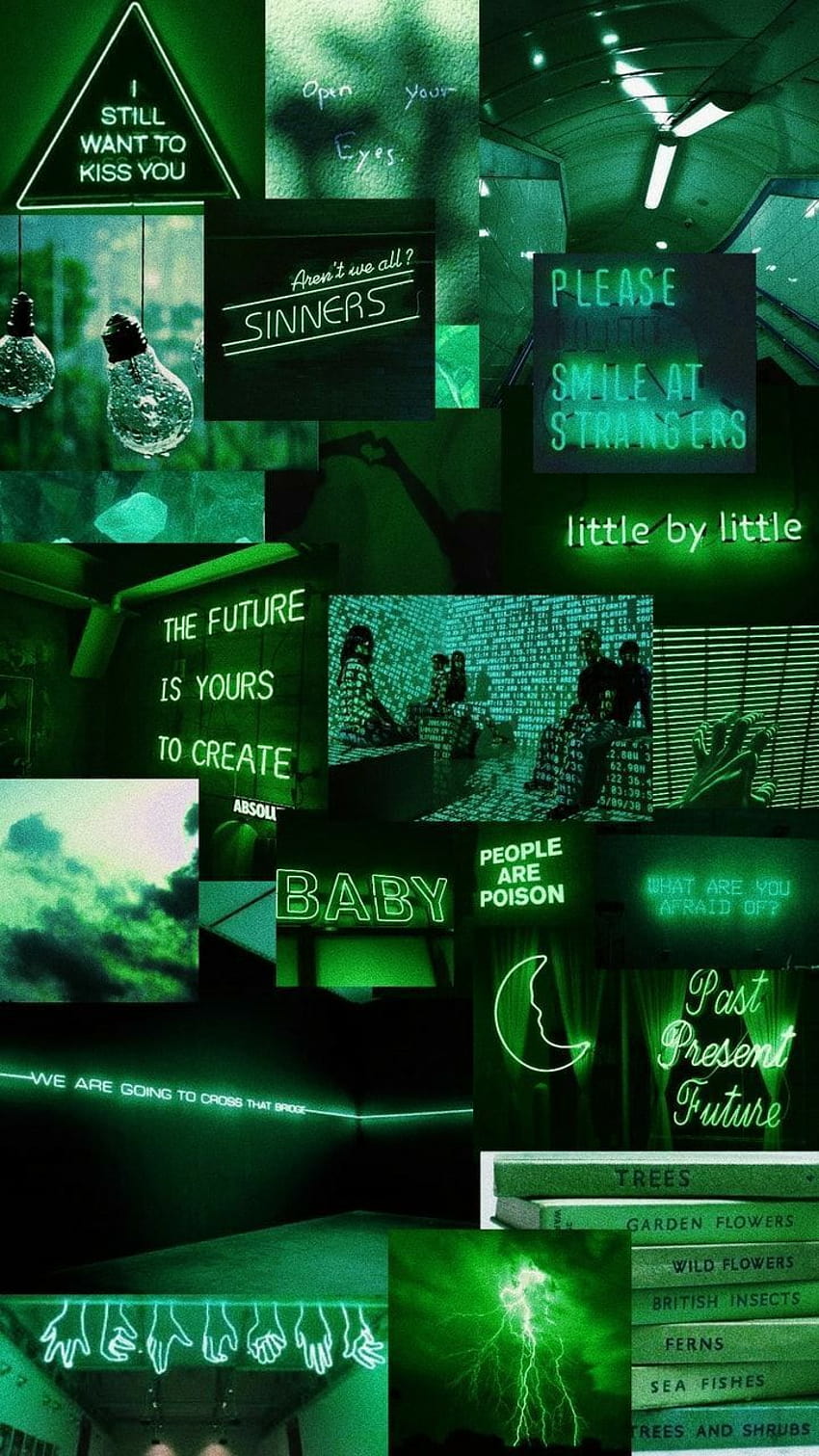 100 Black and Neon Green Aesthetic ideas, neon green and black aesthetic HD  phone wallpaper | Pxfuel