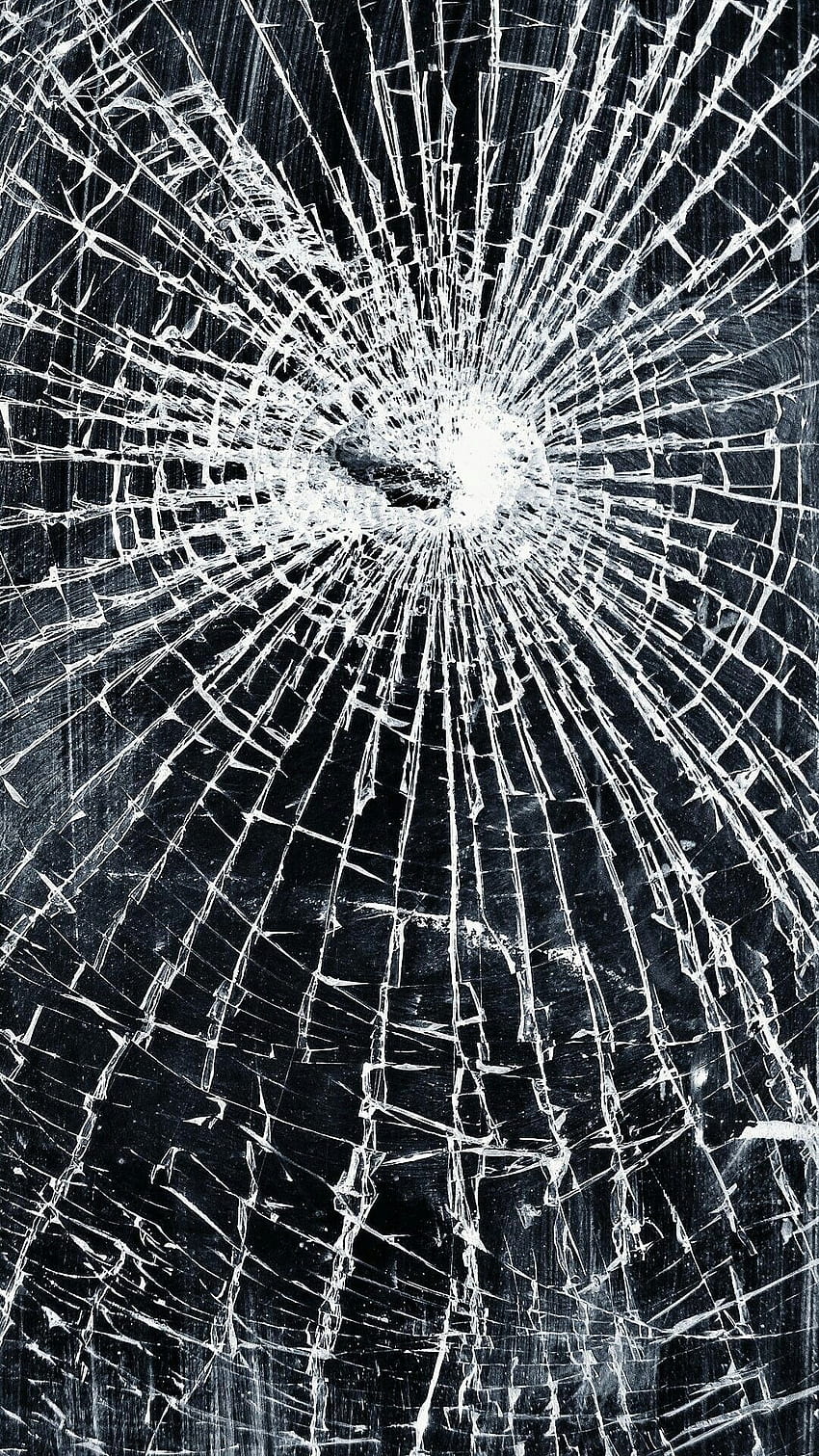 iPhone Cracked Screen on Dog, mobile crack HD phone wallpaper