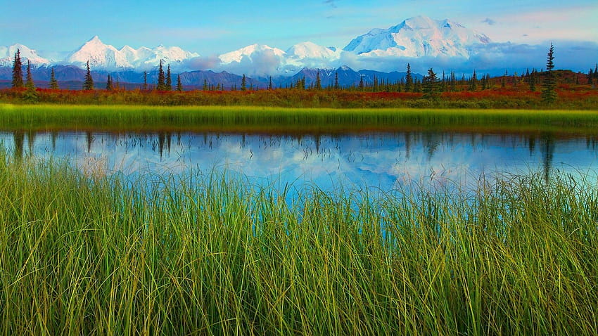 Rainbow: Denali Mountains Spring Beautiful Alaska Grass Clouds Park, alaska in spring HD wallpaper