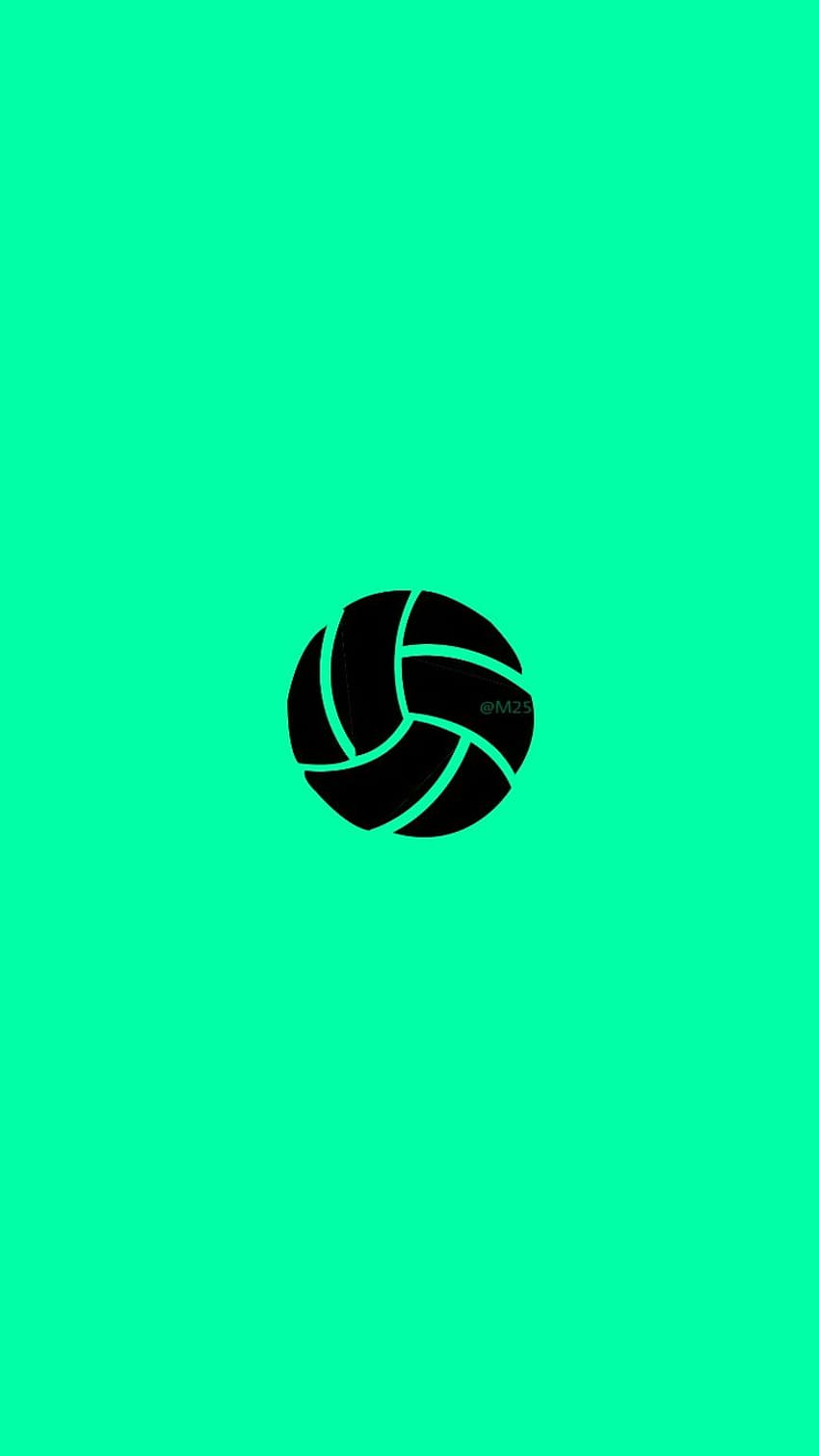 Volleyball Wallpaper  NawPic
