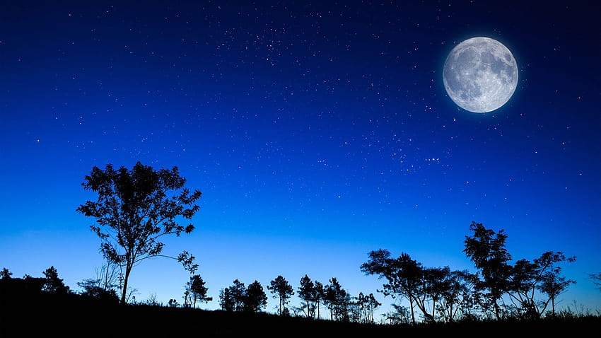 293300 Night Sky Moon Stock Photos Pictures  RoyaltyFree Images   iStock  Night sky moon stars Cloudy night sky moon Starry night sky moon