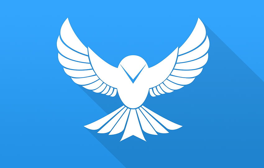 oiseau, ailes, vecteur, oiseau, bleu, plat , section минимализм, ailes d'oiseau Fond d'écran HD