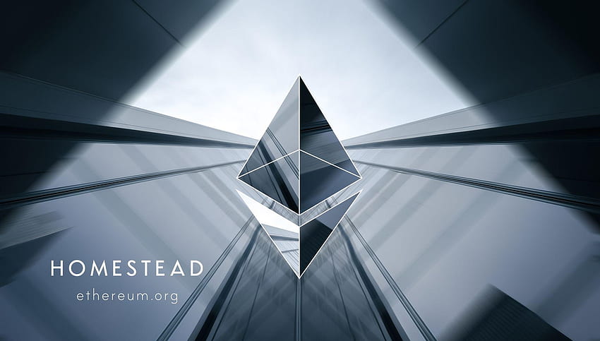 Ethereum leading Bitcoin and Litecoin in cryptocurrency value HD wallpaper