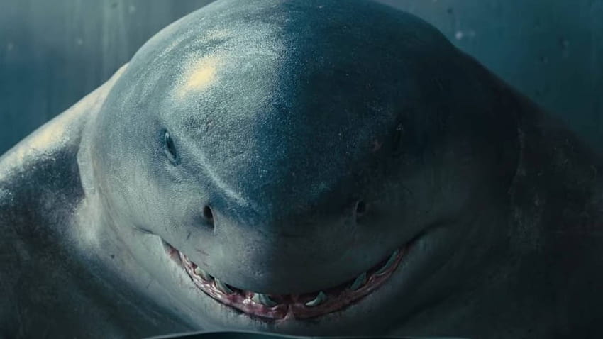 Der wahre Grund, warum King Shark kein Hammerhai im Suicide Squad ist, nanaue HD-Hintergrundbild