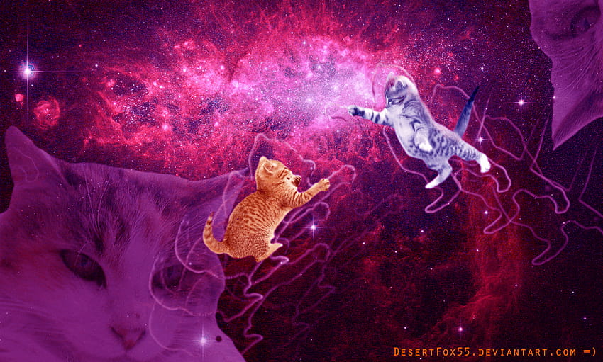 Trippy Cat 3 HD wallpaper