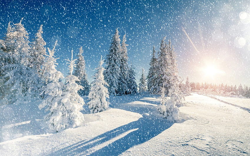 Beautiful Winter Season 冬、冬の日 高画質の壁紙
