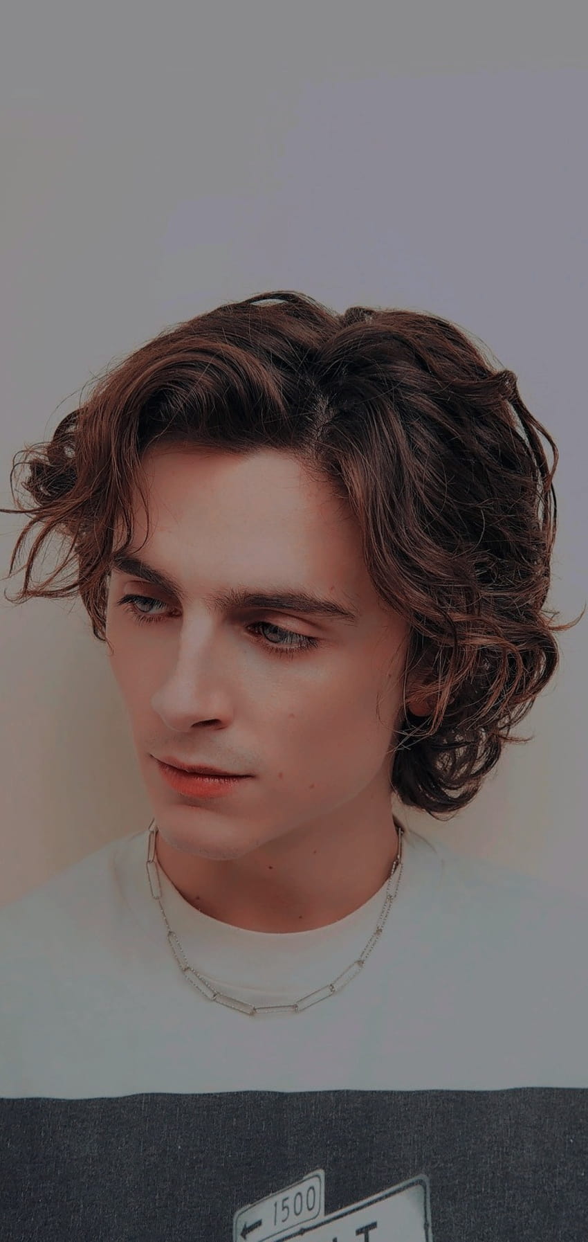 30 Timothée Chalamet HD Wallpapers and Backgrounds